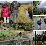 Ferienwohnung - Fiete - In Altenau Im Harz Bis 4 Pers Hunde Willkommen Appartement *