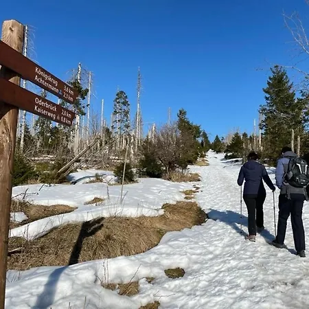Apartamento Naturliebeharz Altenau (Lower-Saxony)