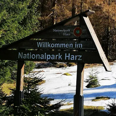 - Fiete - In Im Harz Bis 4 Pers Hunde Willkommen