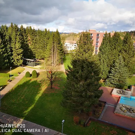 Apartamento Ferienwohnung - Fiete - In Altenau Im Harz Bis 4 Pers Hunde Willkommen