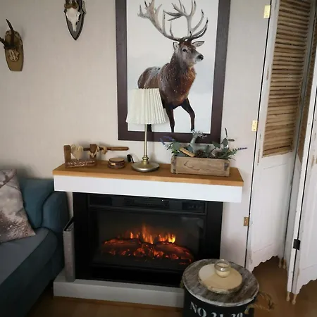 - Fiete - In Im Harz Bis 4 Pers Hunde Willkommen Apartamento *
