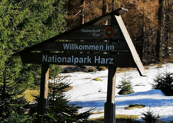 Naturliebeharz