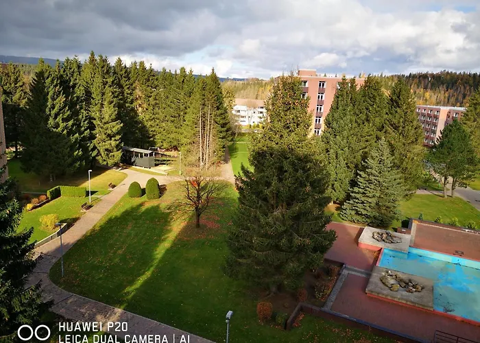Apartamento Ferienwohnung - Fiete - In Altenau Im Harz Bis 4 Pers Hunde Willkommen