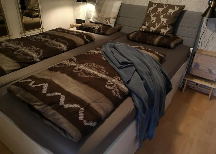 Ferienwohnung - Fiete - In Altenau Im Harz Bis 4 Pers Hunde Willkommen Apartamento Altenau (Lower-Saxony)